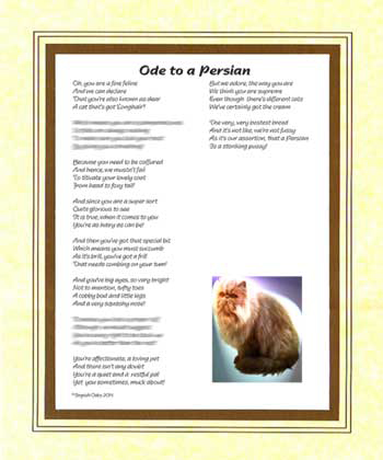 Ode to a Persian Cat