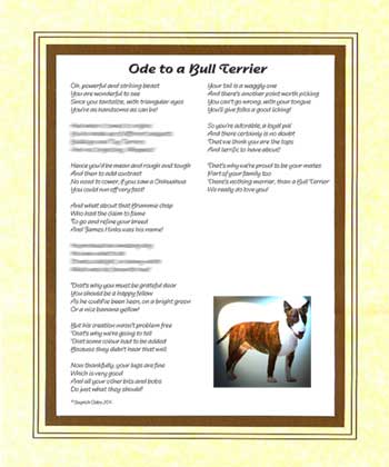 Ode to a Bull Terrier