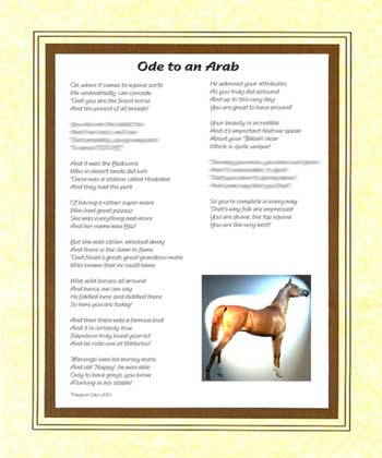 Ode to an Arab Horse