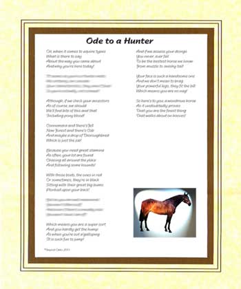 Ode to a Hunter Horse