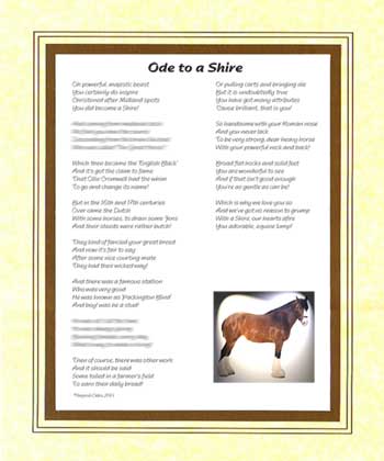 Ode to a Shire Horse 