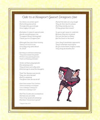 Ode to a Newport Dragons Supporter