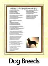 Click to View all Dog Breed Odes