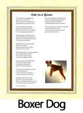 Click Here to View Boxer Dog Ode