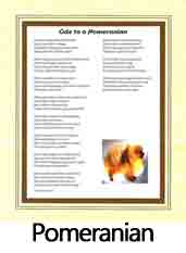 Click Here to View Pomeranian Ode