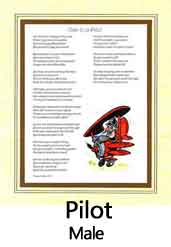 Click Here to View Male Pilot Ode