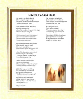 Ode to a Lhasa Apso
