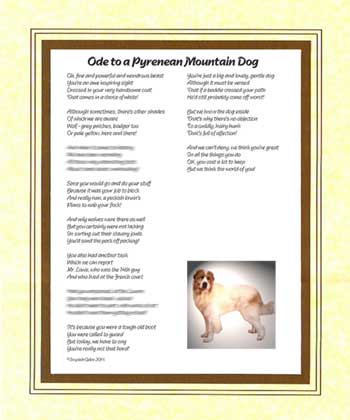 Ode to a Pyrenean Mountain Dog