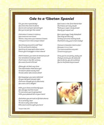 Ode to a Tibetian Spaniel