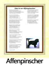 Click Here to View Affenpinscher Ode