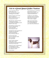 Grand Basset Griffon - Click here for more details